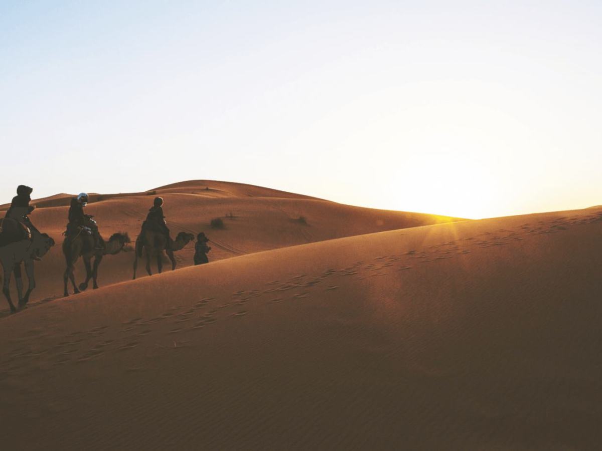 Mu‘āwiya & The Collective Probity of the&nbsp;Companions